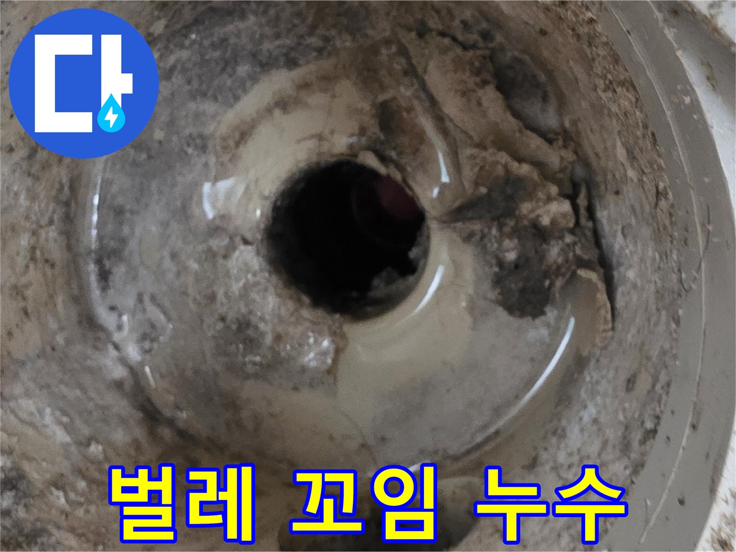 포천 일동 - 누수와 벌레 꼬임, 베란다 배수구 문제 해결! 쾌적한 공간으로!