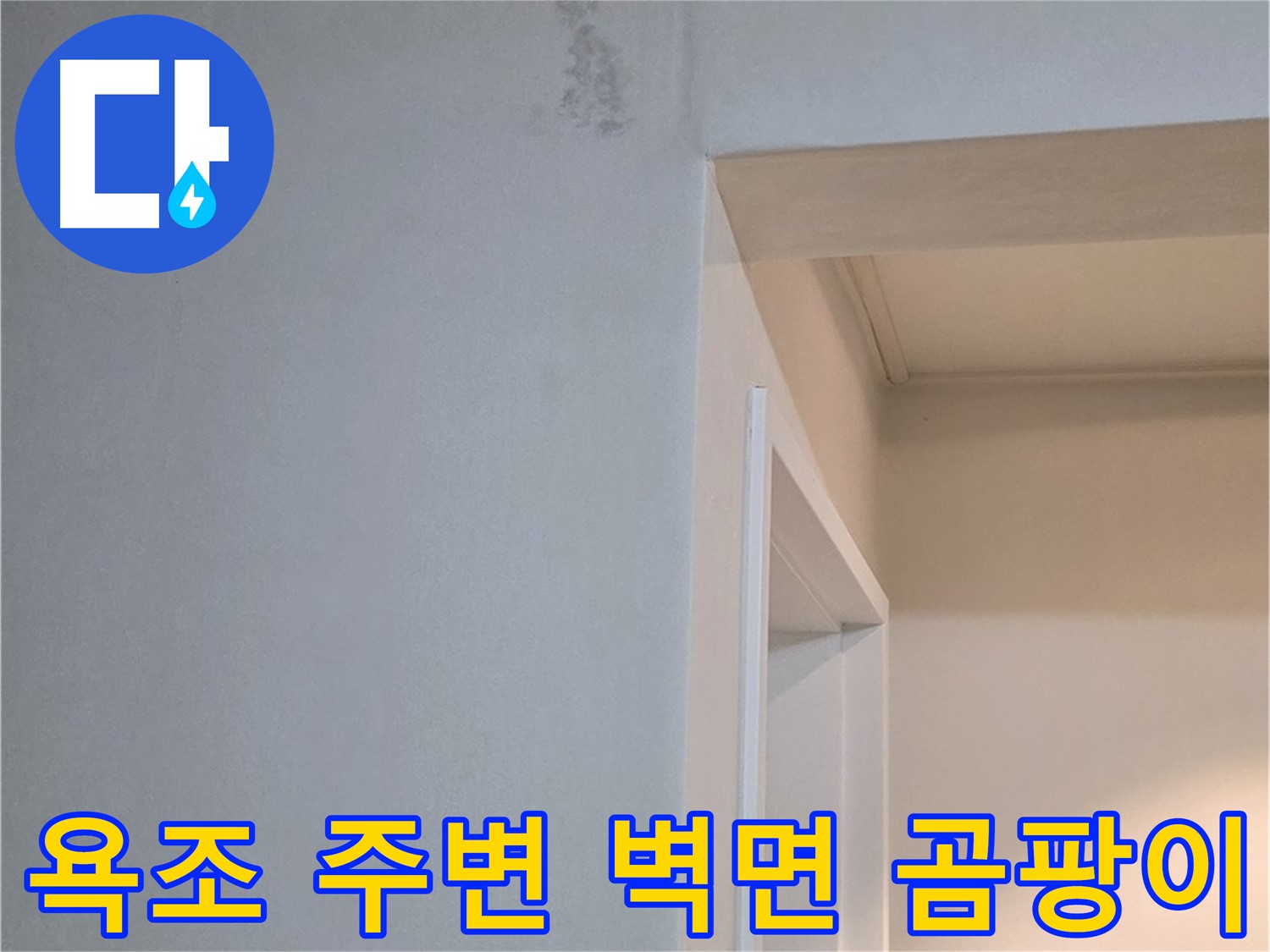 포천 일동 아파트 욕조 주변 벽면 곰팡이 - 누수 원인 해결 및 곰팡이 제거