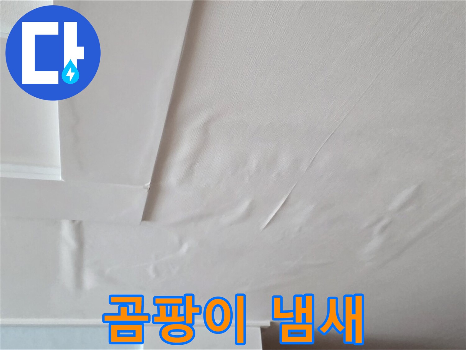 포천 일동 아파트 천장 누수 - 곰팡이 냄새 - 두통 유발 - 학습 능력 저하