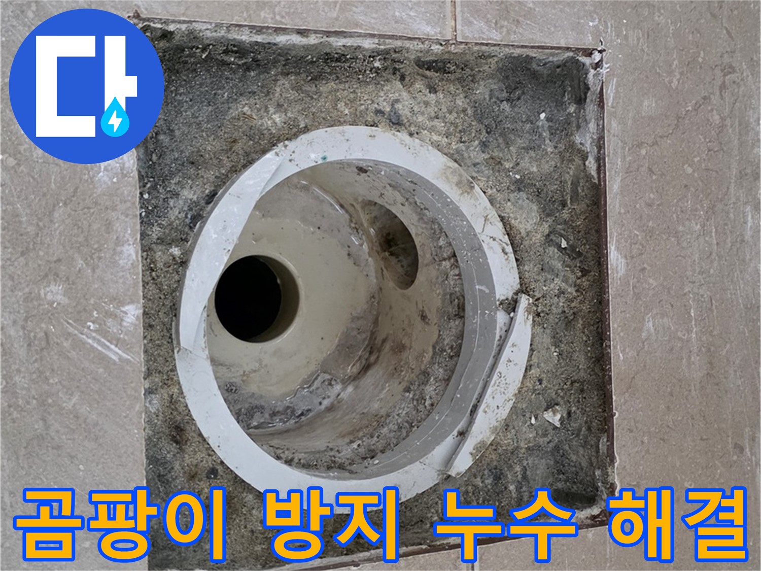 포천 일동 아파트 화장실 하수구 누수 - 곰팡이 방지 시공 및 누수 완벽 해결