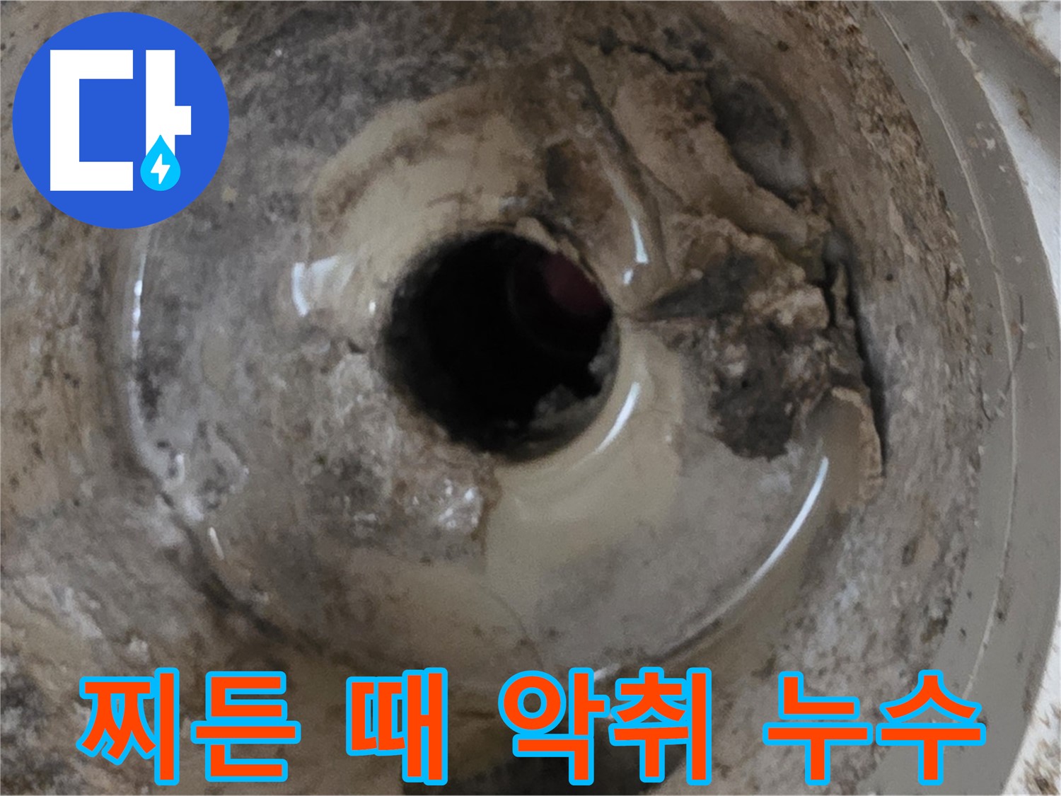포천 일동 - 찌든 때, 악취, 누수, 베란다 배수구 문제 한 번에 해결!