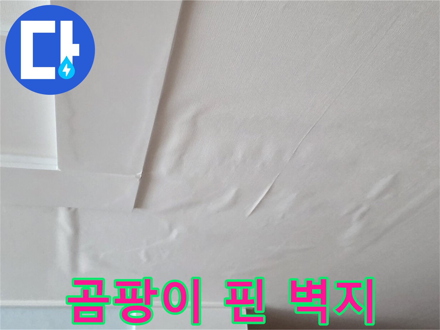 포천 일동 천장 누수 - 곰팡이 꽃 핀 벽지 상세 촬영