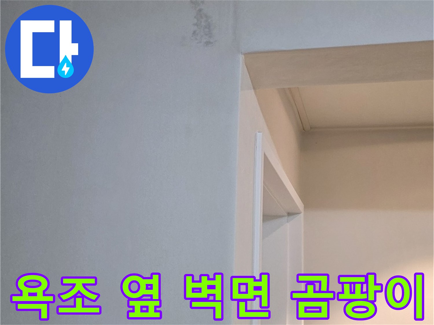 포천시 일동면 기산베스트빌 아파트 욕조 옆 벽면 곰팡이 - 곰팡이 완전 정복