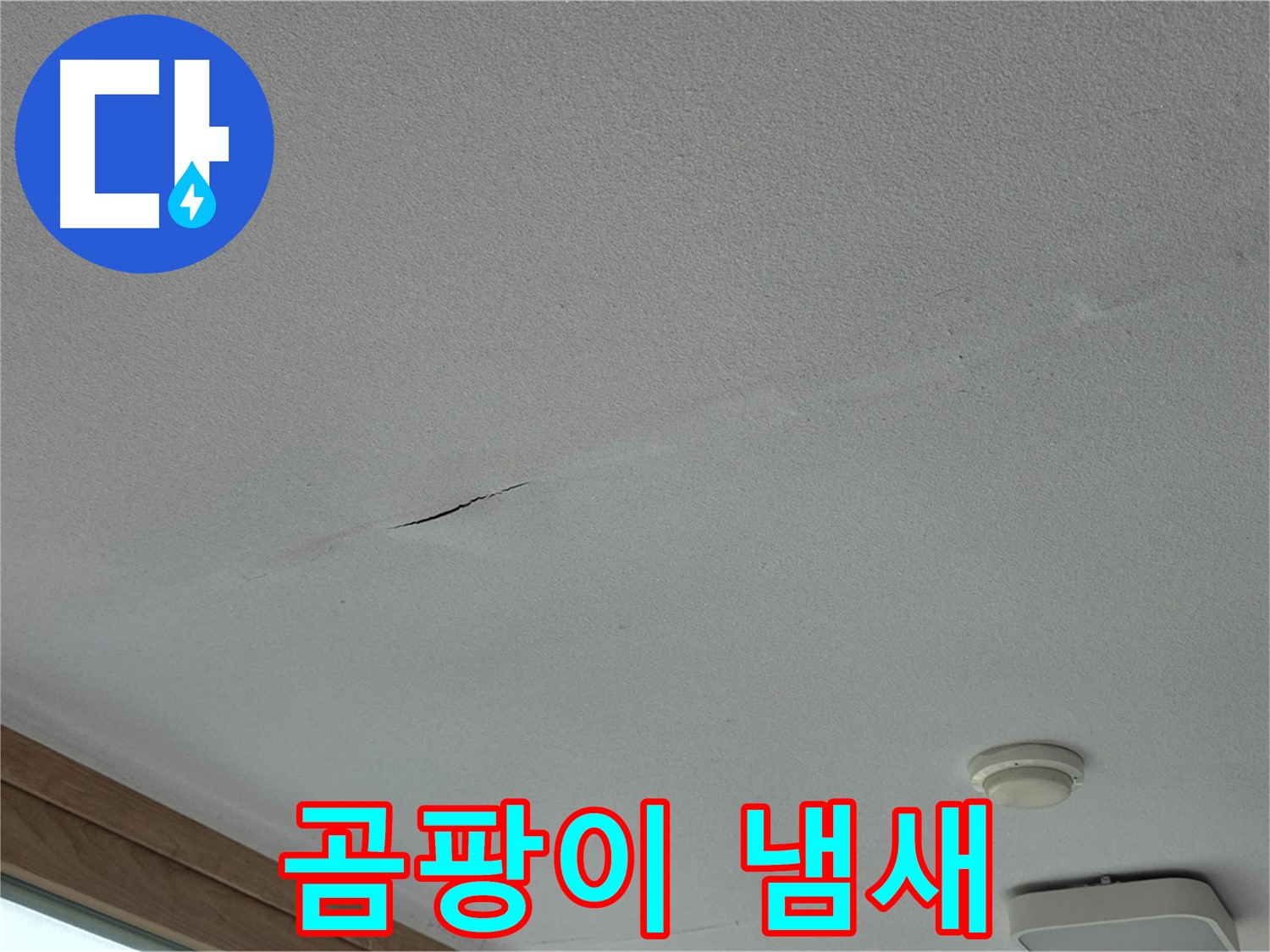 포천시 일동면 아파트 - 불쾌한 곰팡이 냄새