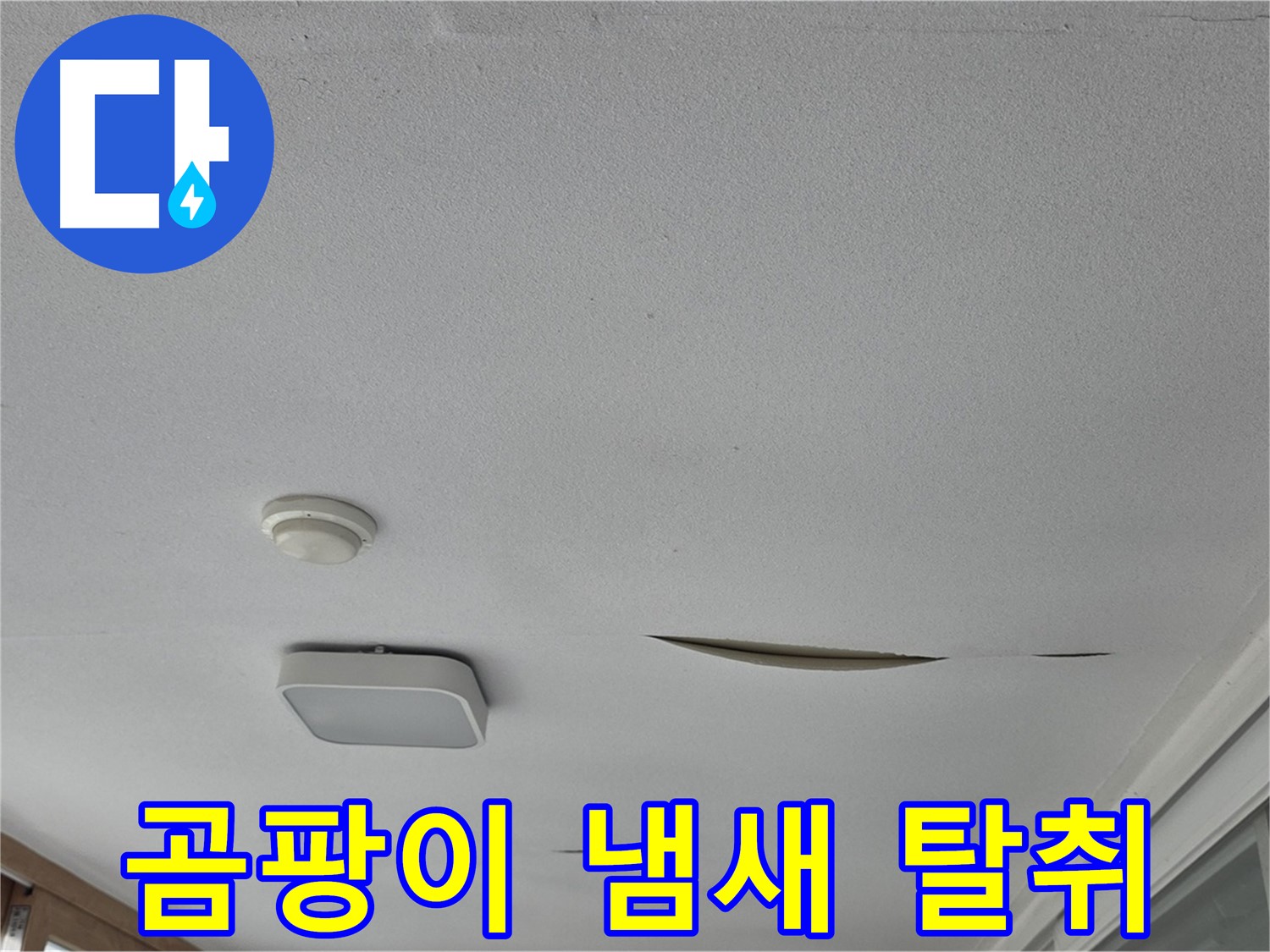 포천시 일동면 아파트 천장 누수 - 석고보드 곰팡이 냄새 완벽 탈취