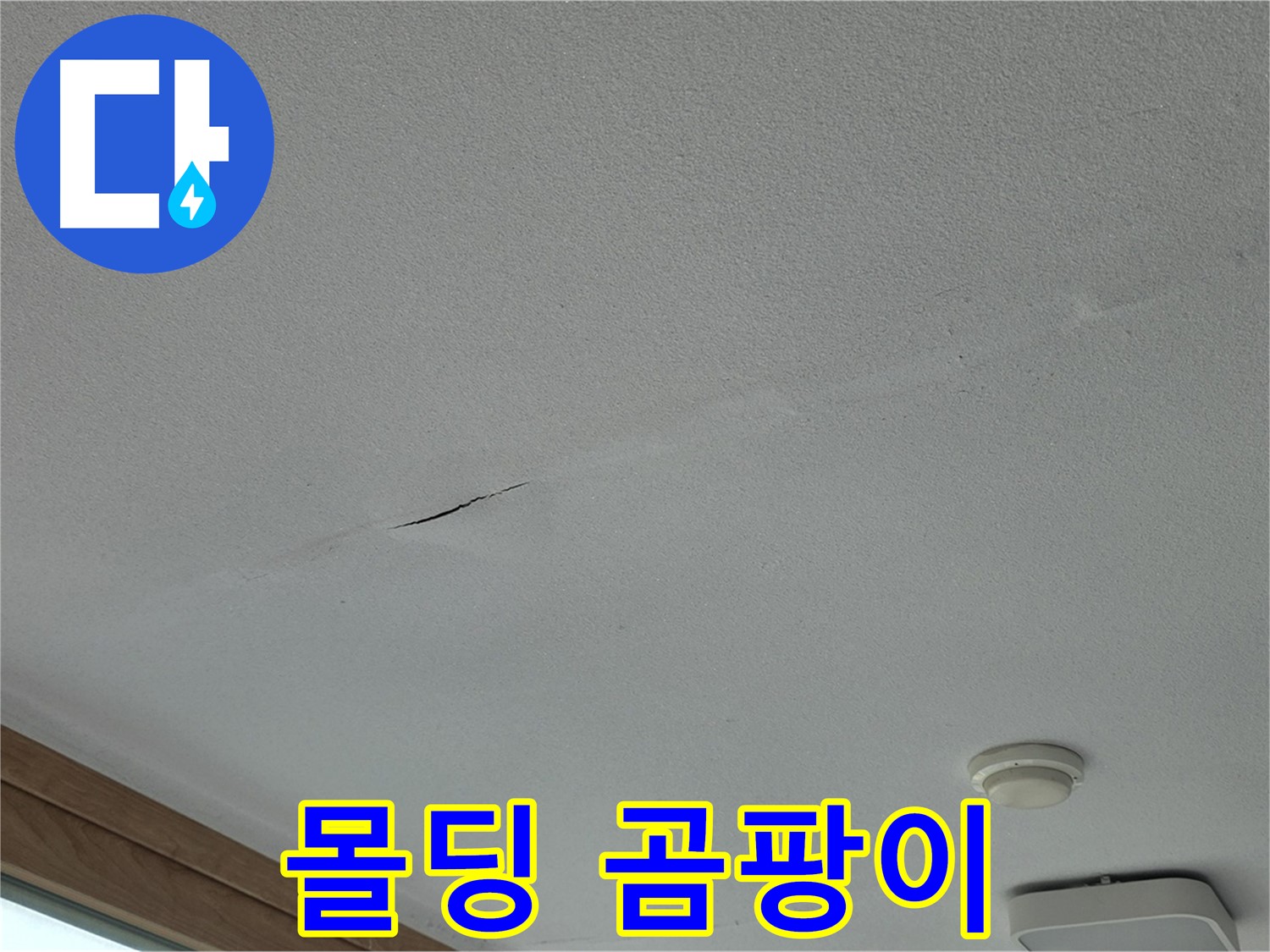 포천시 일동면 아파트 천장 - 몰딩에 핀 곰팡이