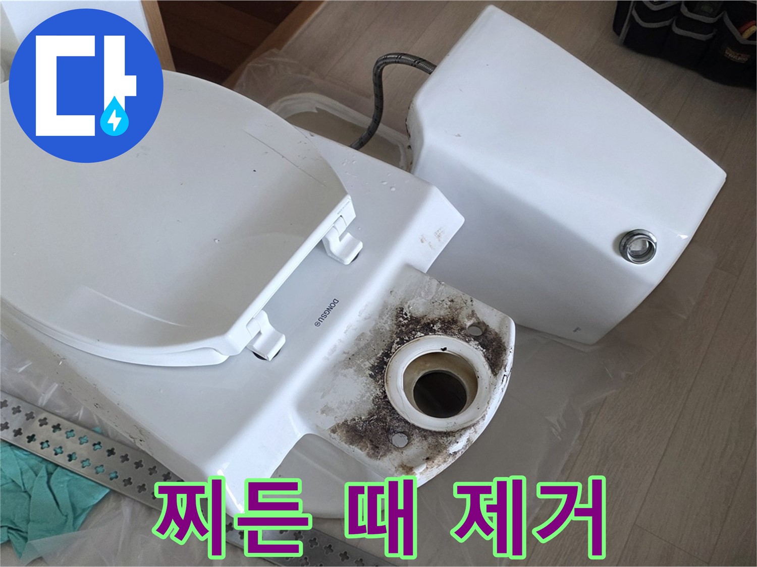 포천시 일동면 운악청계로 기산베스트빌 아파트 - 변기 찌든 때와 곰팡이 완벽 제거 작업 진행 중