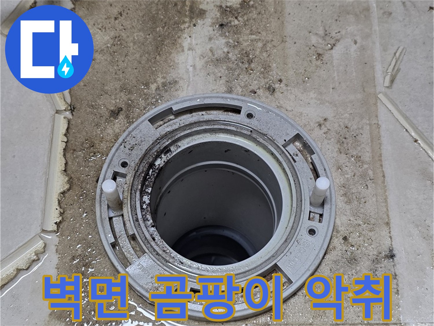 변기 뒤 벽면 - 벽지 훼손과 함께 곰팡이와 악취가 발생했습니다.