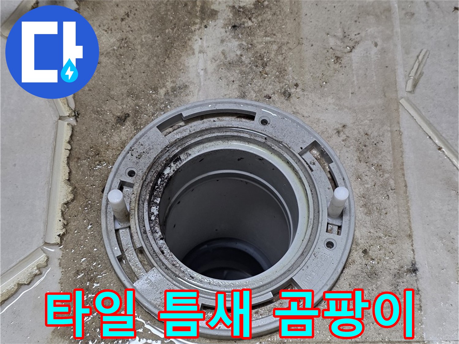 변기 플랜지 주변 타일 틈새 - 곰팡이가 매우 심하게 발생했습니다.
