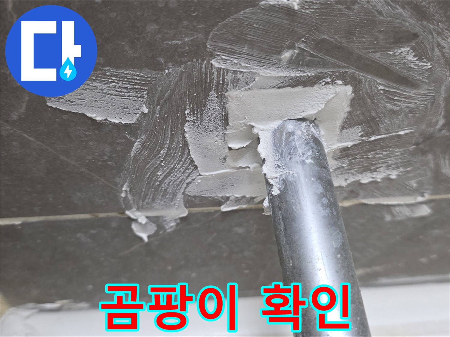 실리콘 제거 후 곰팡이 발견 - 철저한 제거