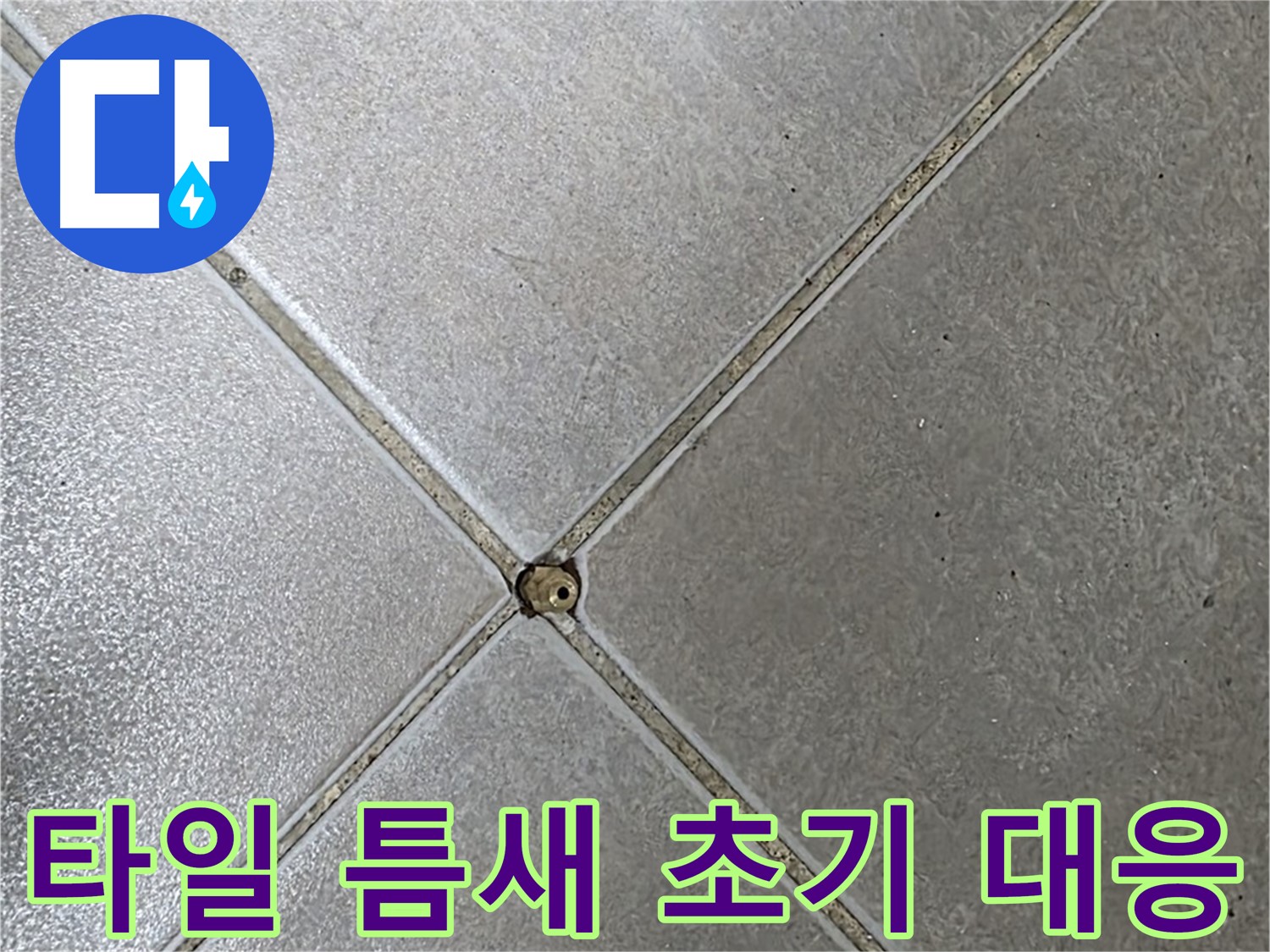 양주 옥정 율정마을 13단지 아파트 타일 틈새 - 누수 초기 대응 과정입니다.