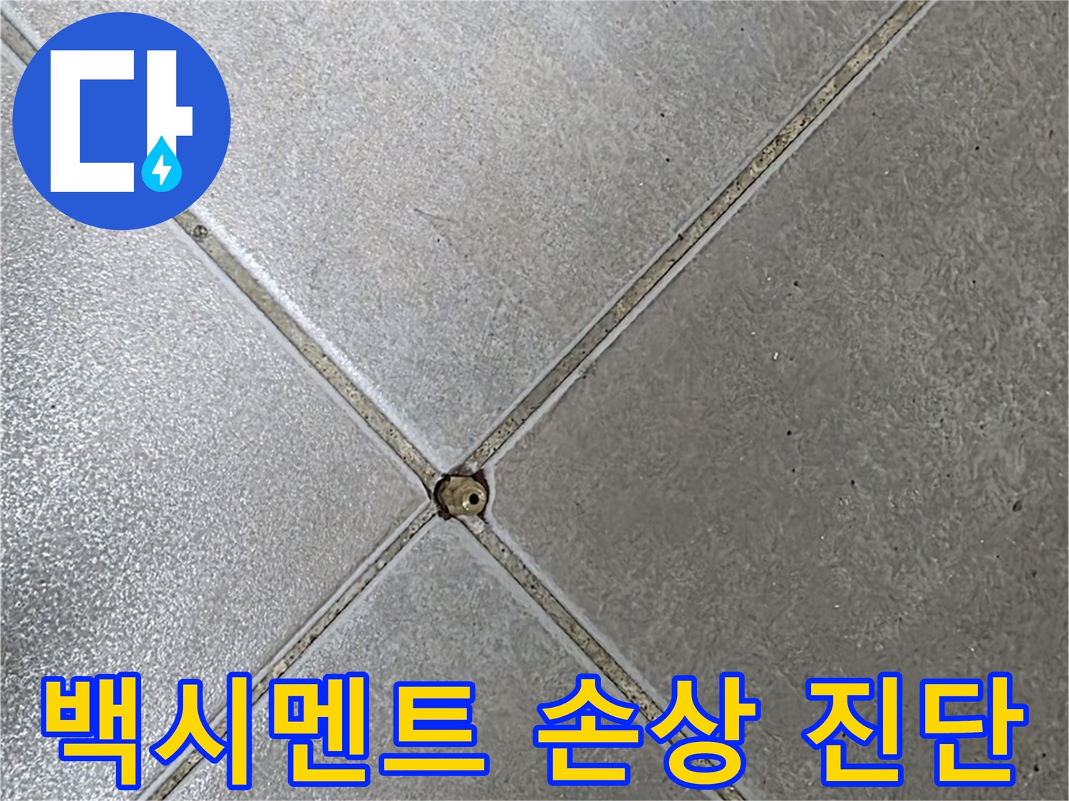 양주 옥정 율정마을 13단지 아파트 타일 틈새 백시멘트 손상 - 초기 누수 진단 과정입니다.