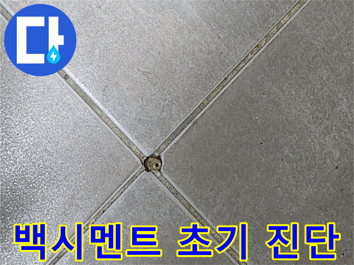 양주 옥정 율정마을 13단지 아파트 타일 틈새 백시멘트 - 초기 진단으로 누수 걱정 이제 끝!