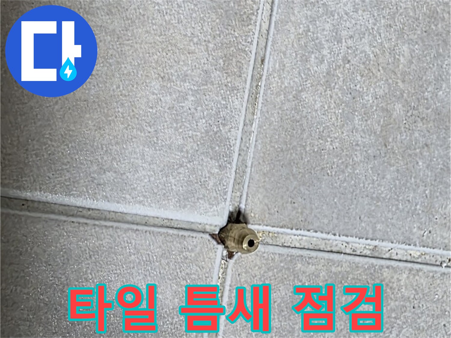 양주 옥정 율정마을 아파트 누수탐지 - 꼼꼼한 타일 틈새 점검으로 누수 원인을 찾아 해결합니다.