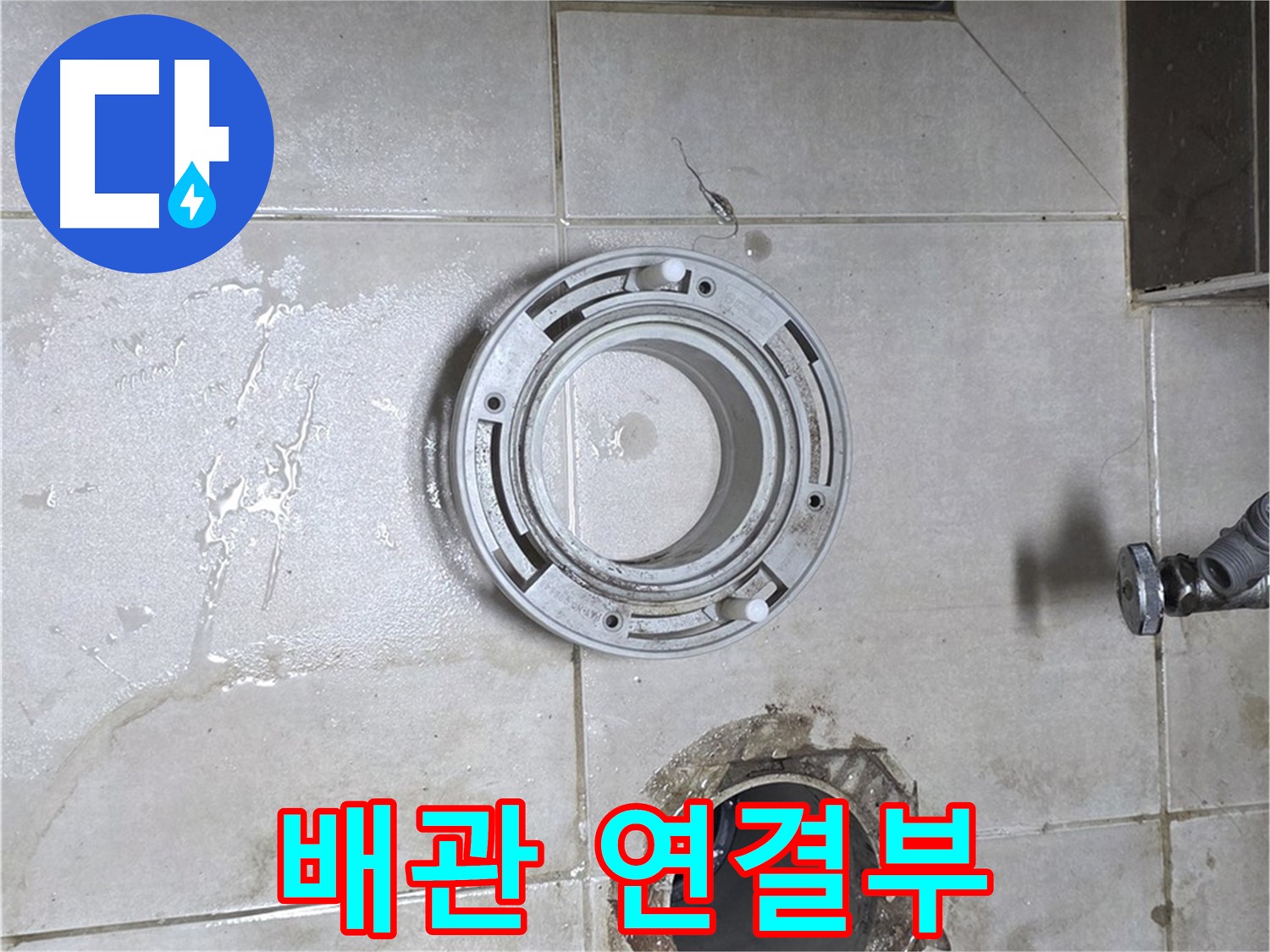 양주 옥정 율정마을 아파트 변기 누수 - 하수구 배관 연결부 문제 확인