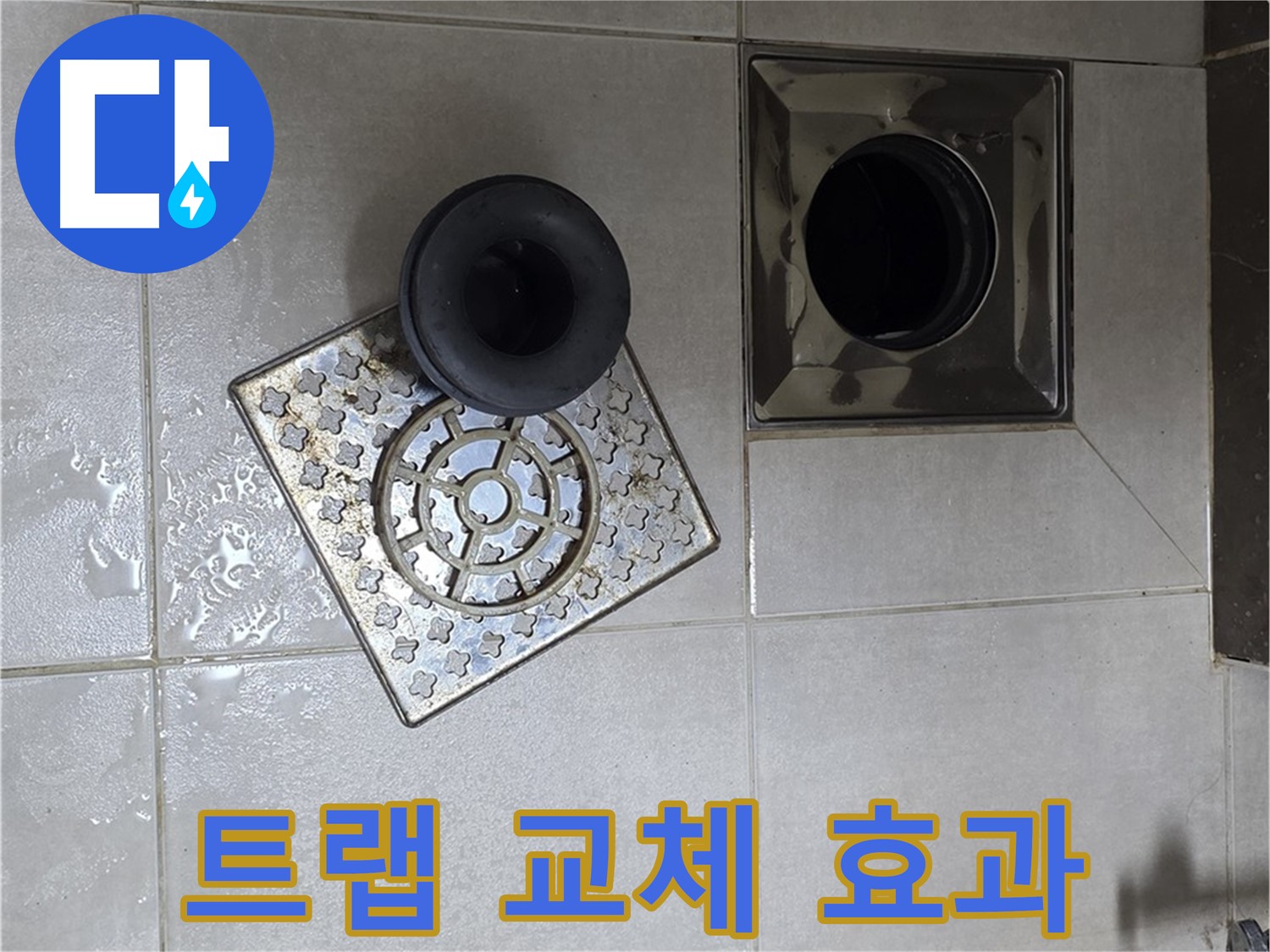 양주 옥정 율정마을 아파트 - 욕실 배수구 누수, 트랩 교체로 완벽 차단