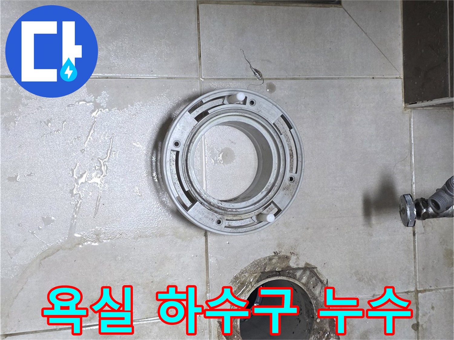 양주 옥정 율정마을 아파트 욕실 하수구 배관 누수 - 누수 문제 해결 전문가의 완벽 차단