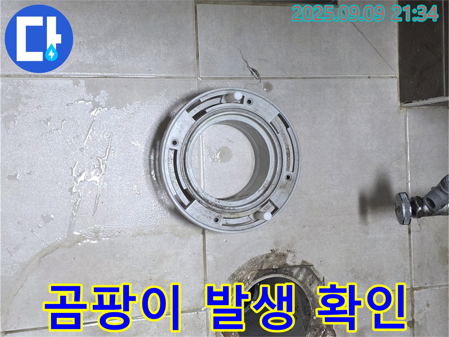 양주 옥정 율정마을13단지 아파트 변기 주변 배관 주변 곰팡이 발생 확인 - 제거 준비