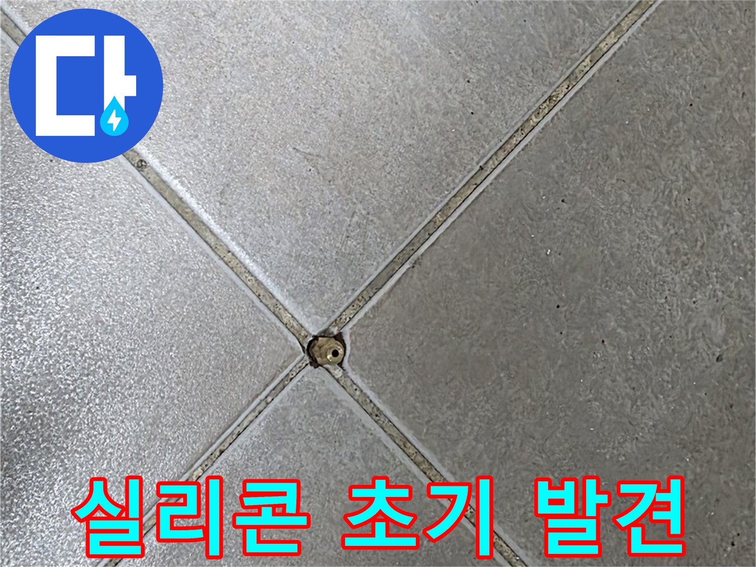 양주 옥정동 율정마을 13단지 아파트 타일 틈새 실리콘 - 초기 발견 사진입니다.