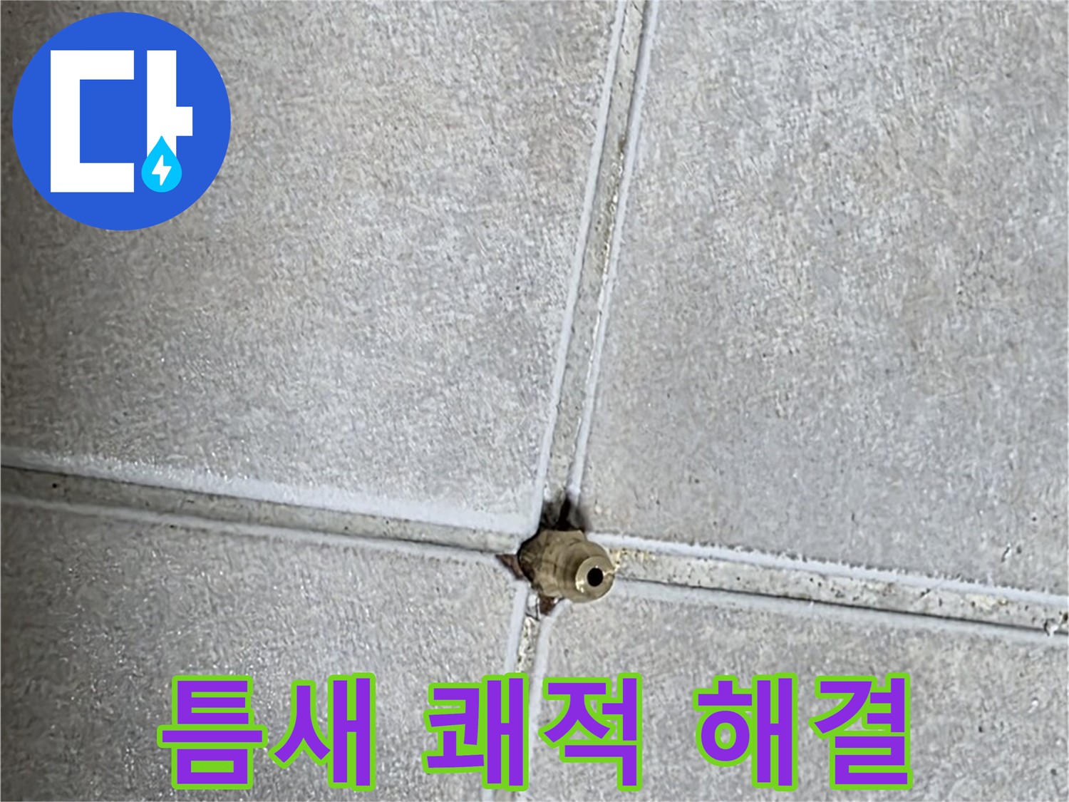 양주 옥정동 율정마을 아파트 누수 - 타일 틈새 누수, 완벽하게 해결하고 쾌적한 욕실을 되찾으세요!