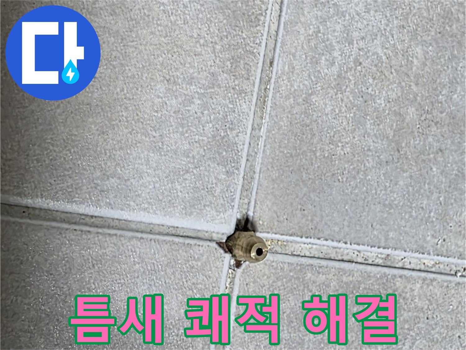 양주 옥정동 율정마을 아파트 누수 - 타일 틈새 누수, 완벽하게 해결하고 쾌적한 욕실을 되찾으세요!
