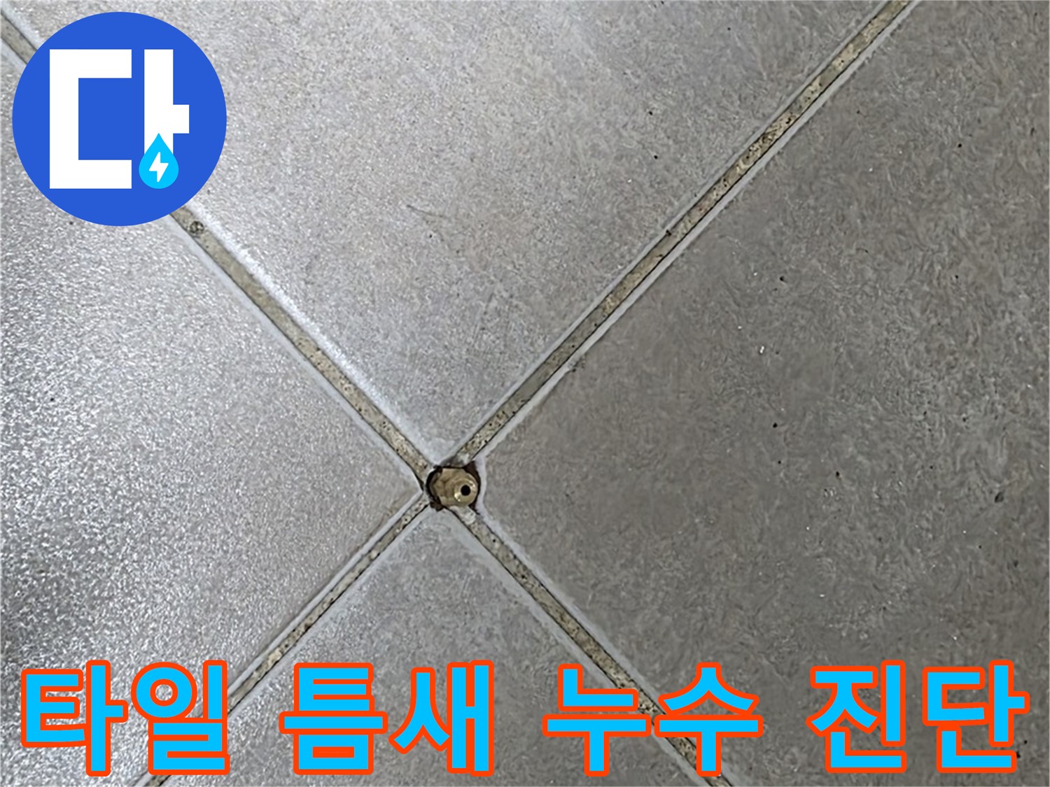 양주시 옥정동 율정마을 아파트 타일 틈새 누수 - 누수탐지 전문가의 정확한 진단과 해결 과정을 확인하세요.