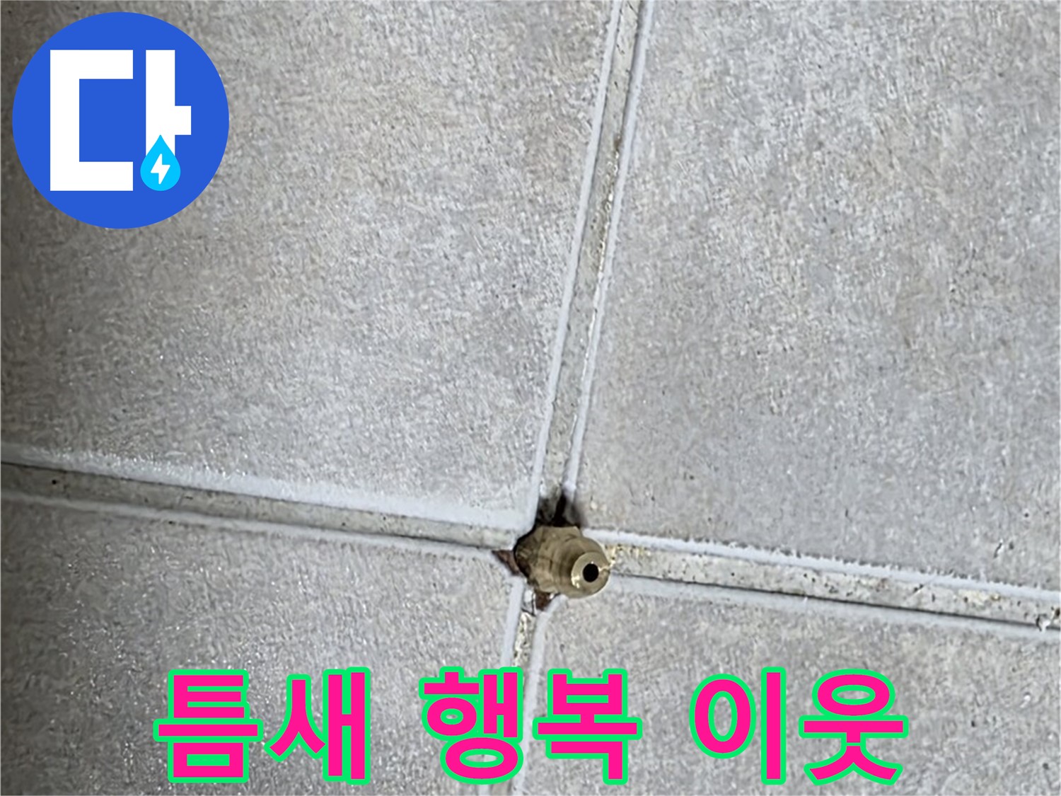 옥정 율정마을 아파트 누수 - 타일 틈새 누수 해결, 이웃사촌과 함께 웃는 행복한 우리 집을 만들어 드립니다!