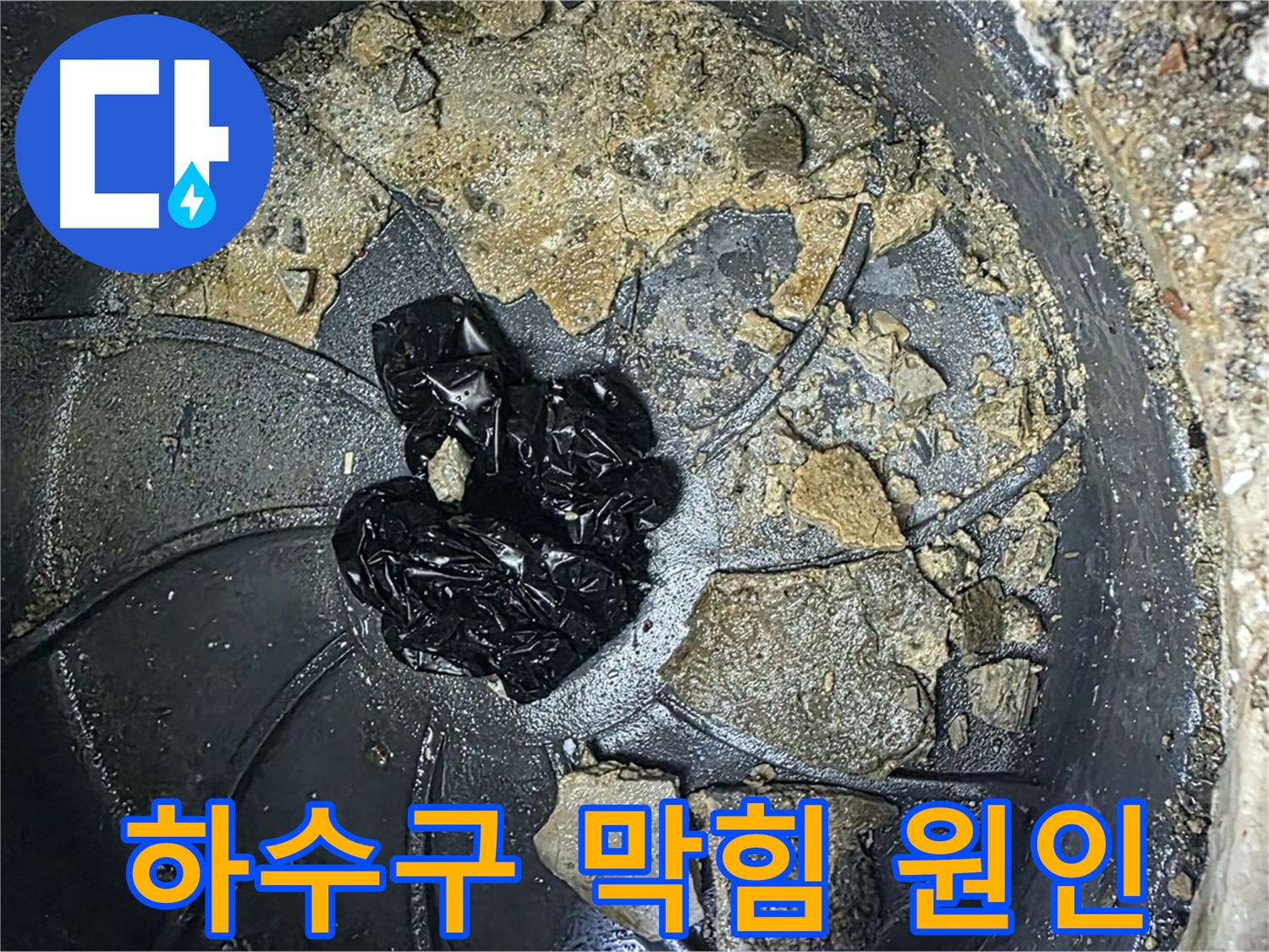 옥정 율정마을 아파트 - 욕실 하수구 누수의 주범, 곰팡이와 찌꺼기 덩어리!