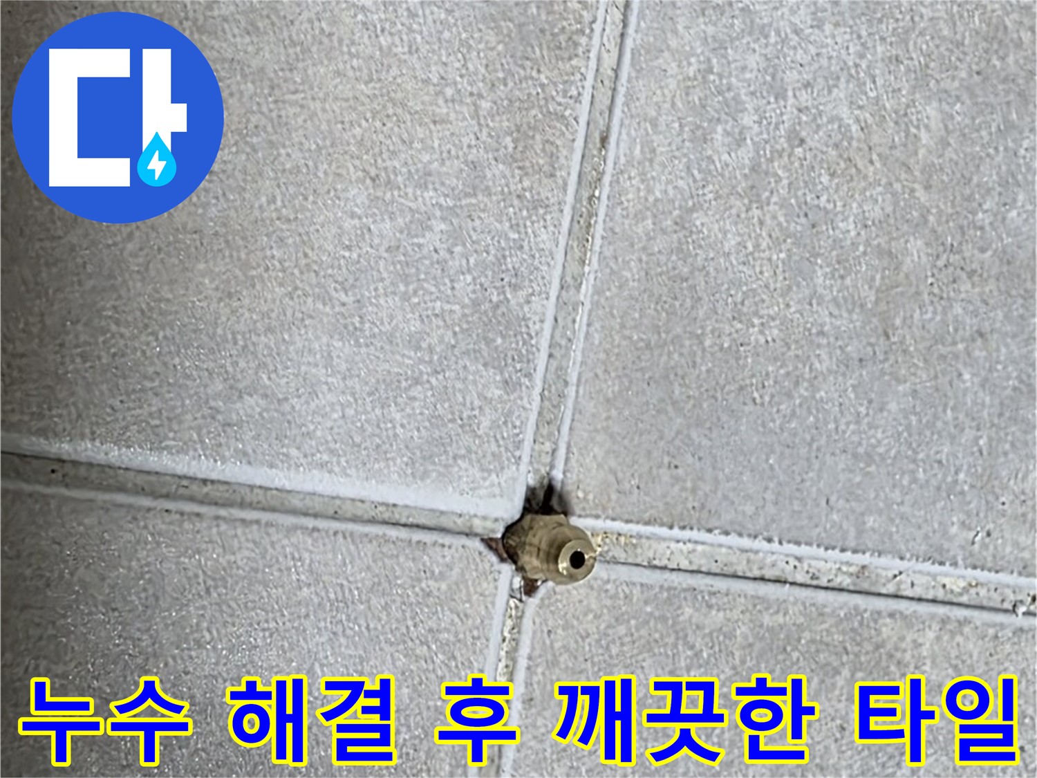 옥정 율정마을 아파트 타일 틈새 누수 해결 후 깨끗해진 타일 모습 - 누수 걱정 없이 안심하고 사용하세요.