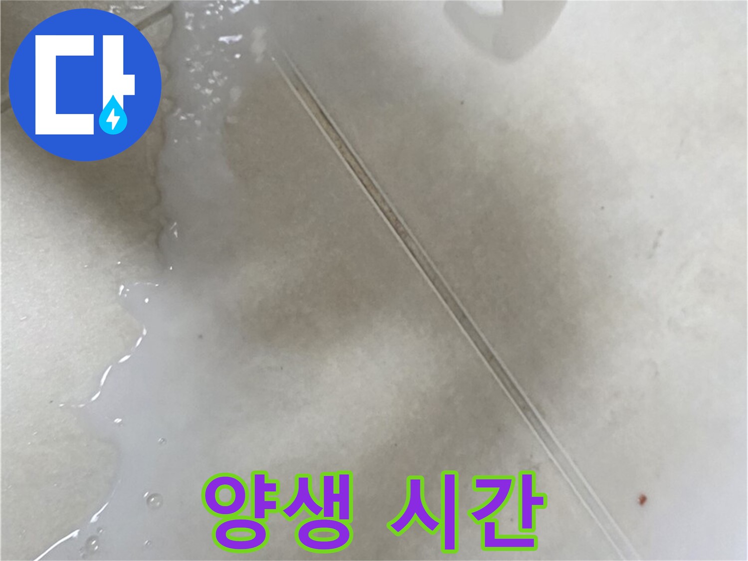 옥정동 누수 - 젤 타입 방수액 시공 후 양생 시간은 필수!