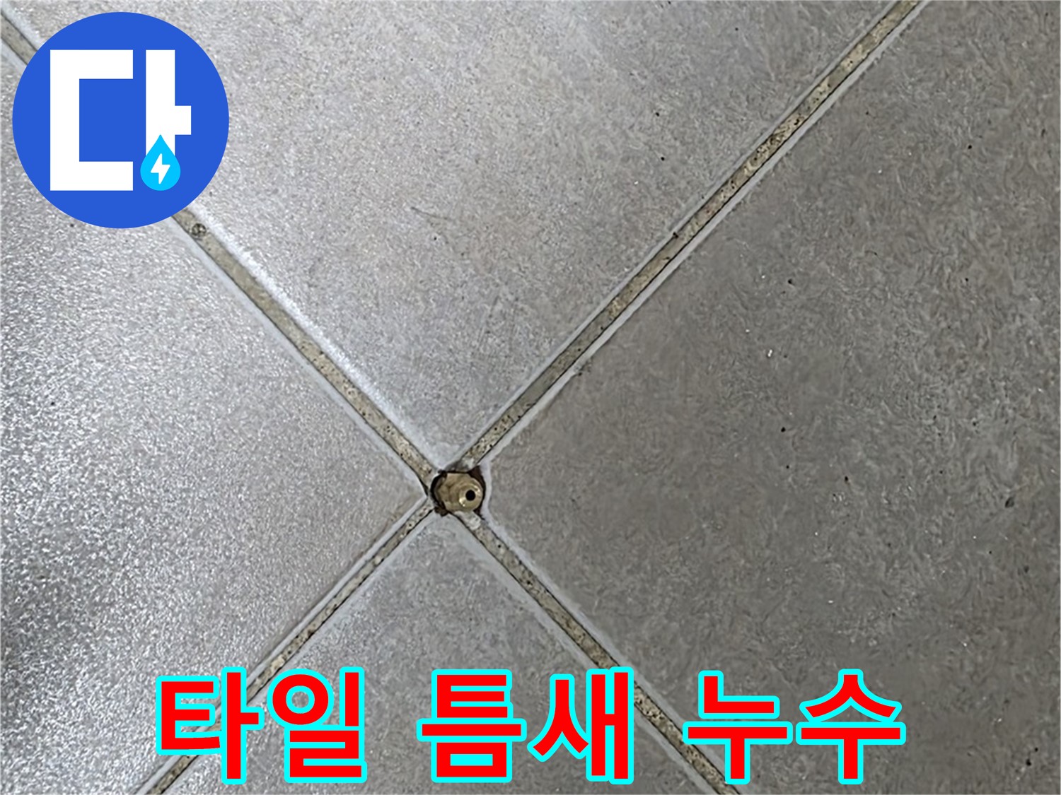 옥정동 아파트 타일 틈새 누수 - 누수탐지 전문가가 정확한 진단과 해결책을 제시합니다.