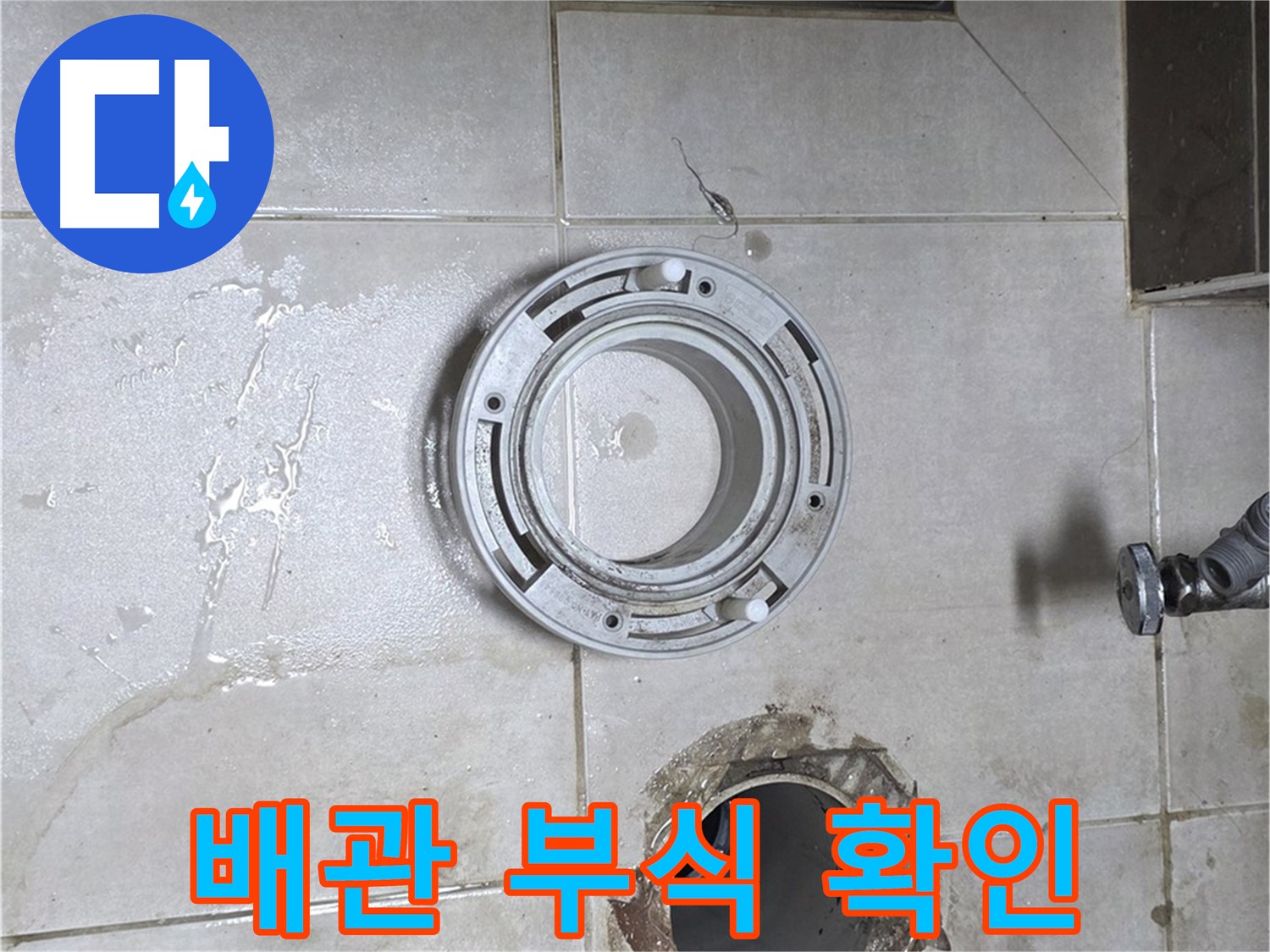옥정동 율정마을 아파트 변기 하수구 누수 - 오래된 배관 부식 상태 확인