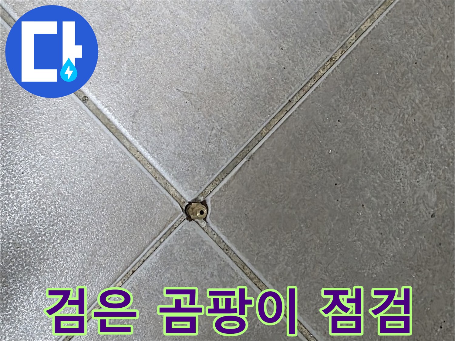 옥정동 율정마을 아파트 타일 틈새 검은 곰팡이 - 빠른 점검이 필요합니다.