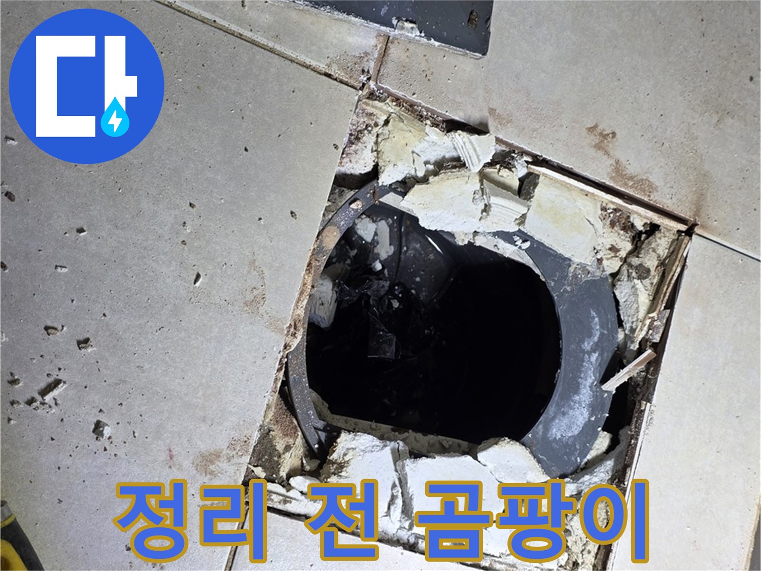 옥정동 율정마을13단지 화장실 누수 - 배수구 주변 정리 작업 시작 전 묵은 먼지와 곰팡이
