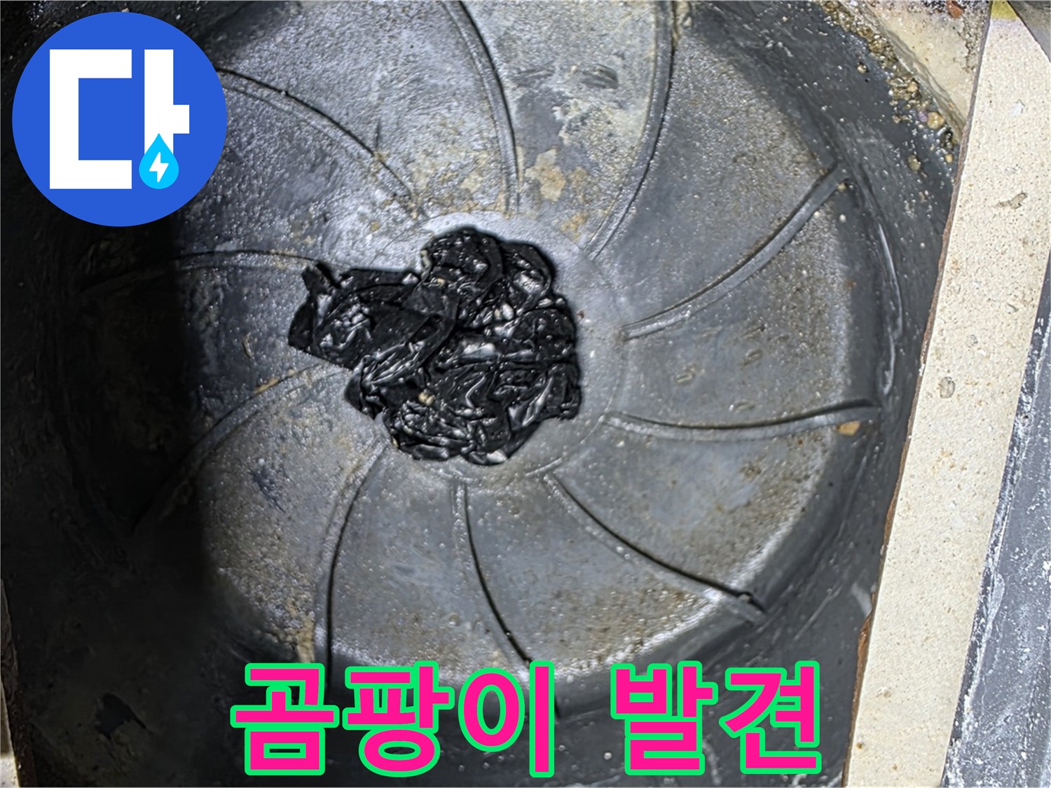하수구 곰팡이 - 악취와 누수의 주범!