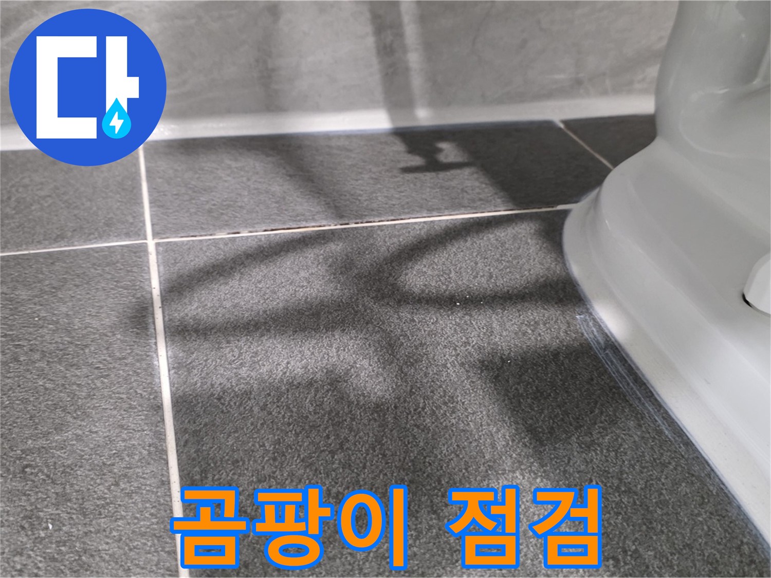 변기 주변 곰팡이 점검 - 누수 및 환기 상태를 확인합니다.