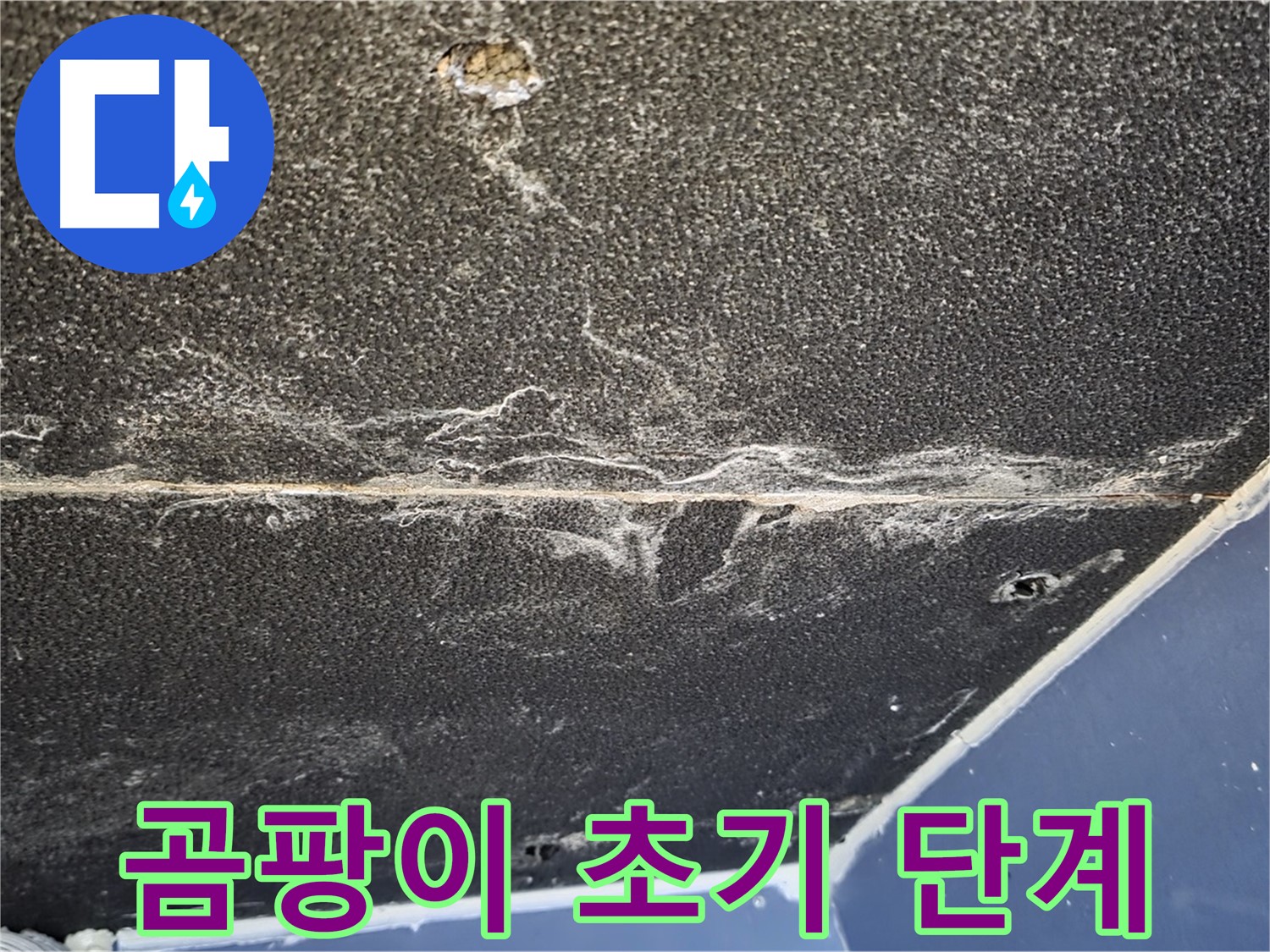 운정어반프라임 곰팡이 - 석고보드 곰팡이 발생 초기 단계 확인