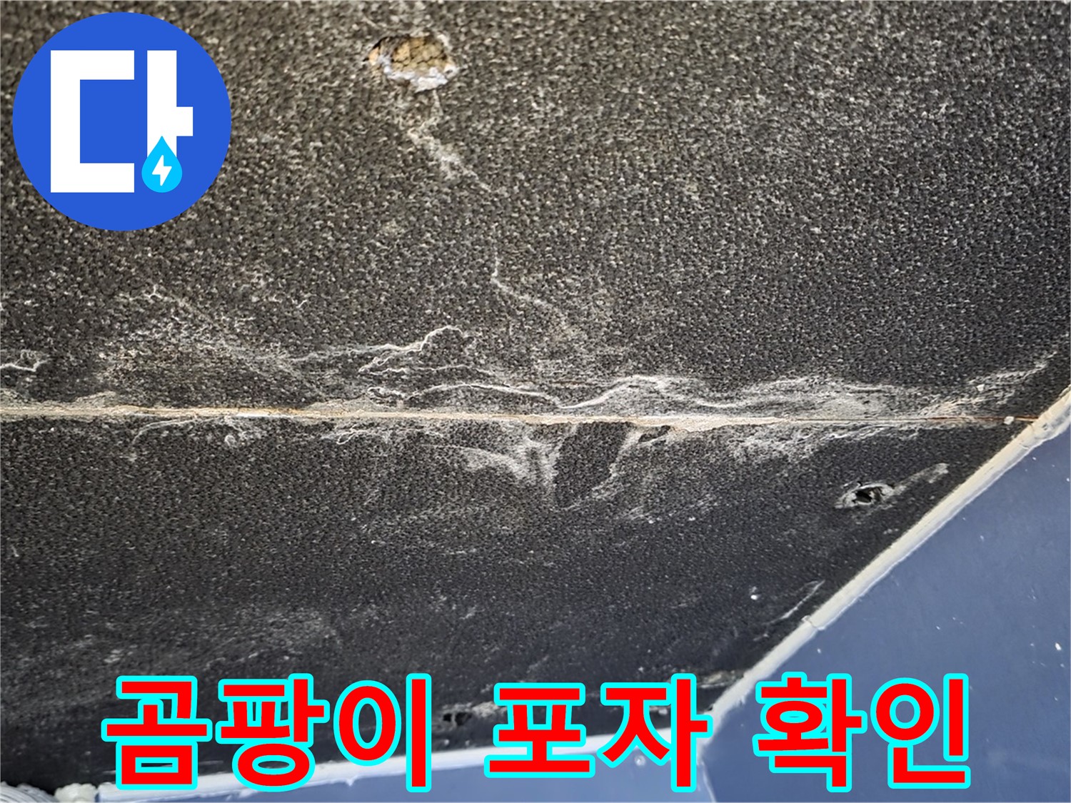 운정어반프라임 곰팡이 포자 - 석고보드 곰팡이 포자 발생