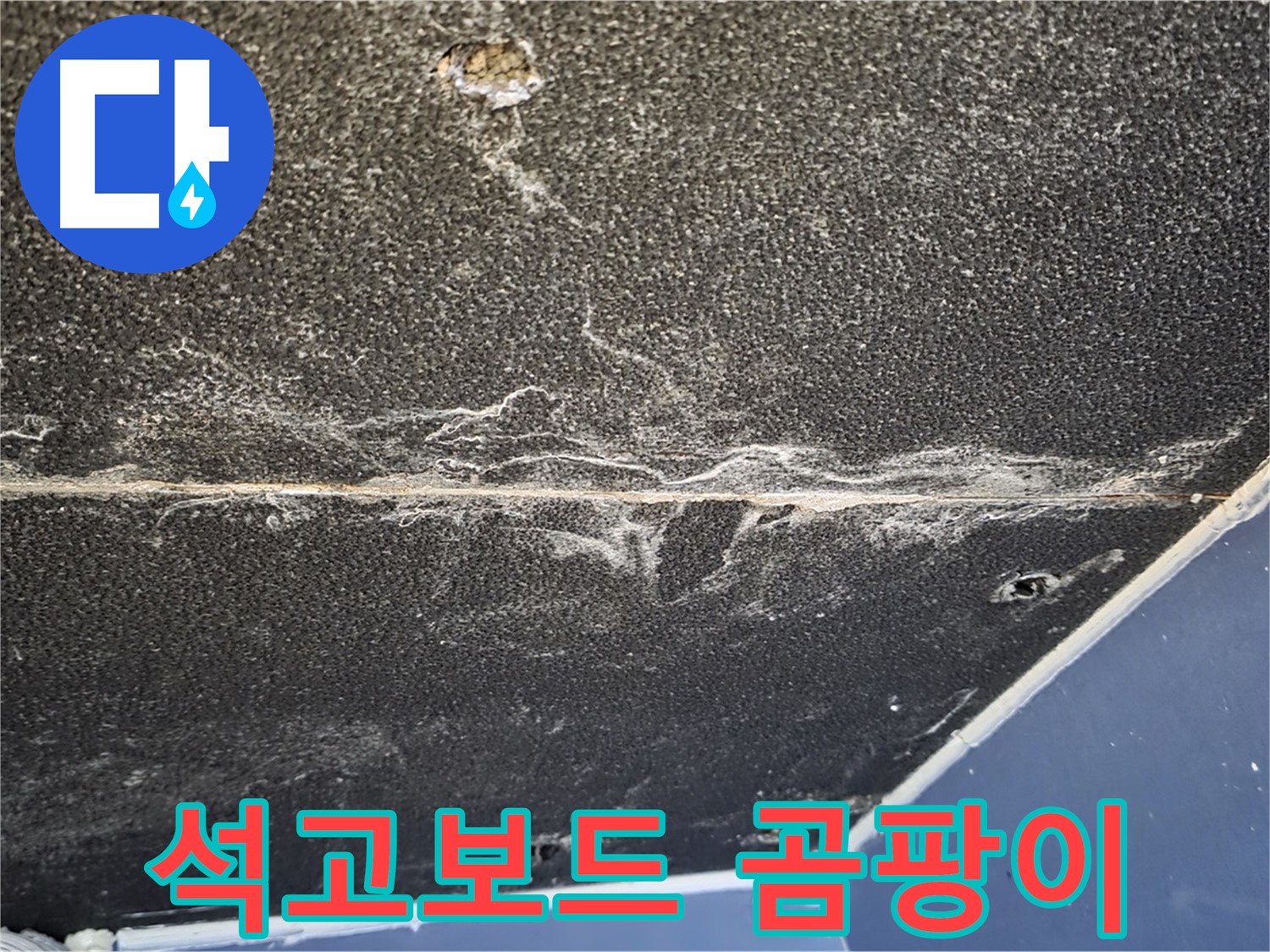 운정어반프라임 석고보드 곰팡이 - 누수로 인한 곰팡이 발생