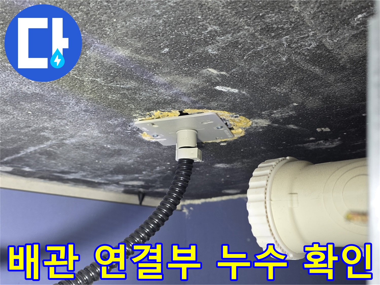 운정어반프라임 욕실 누수 - 배관 연결부에서 누수 지점을 확인하는 모습