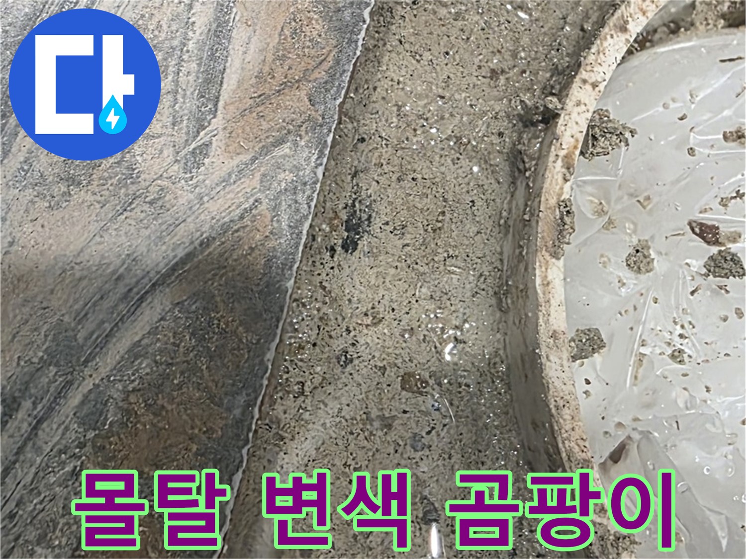 유가 주변 몰탈 변색 - 곰팡이 발생 - 건강 위협