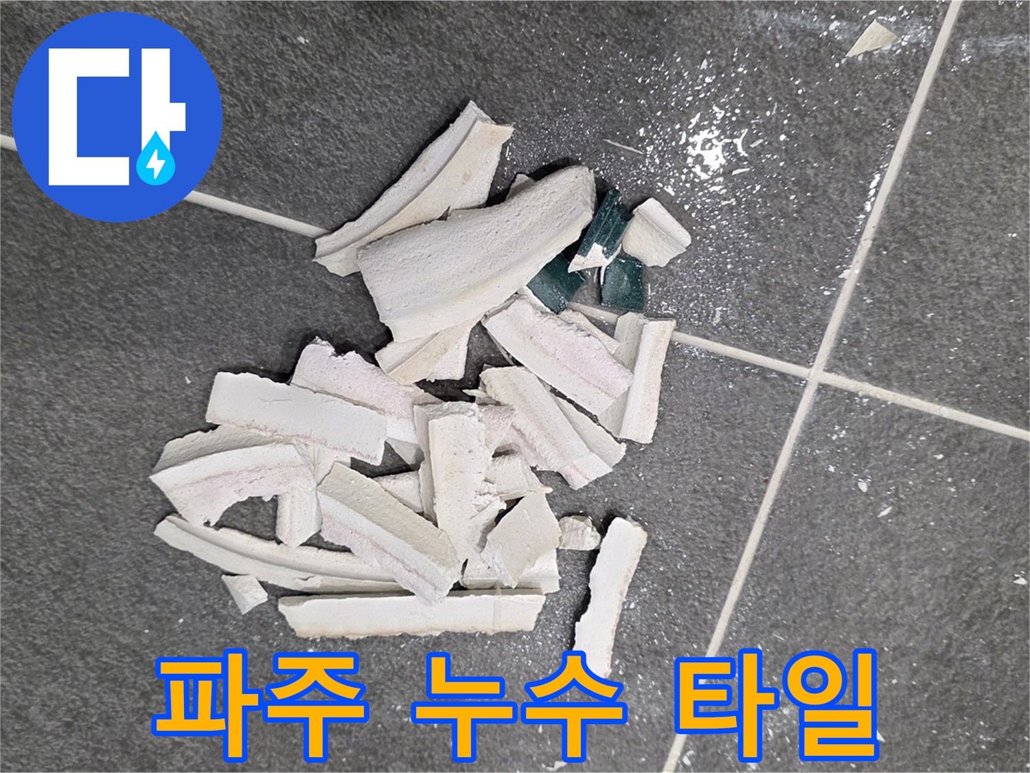 파주 누수 현장 - 깨진 타일 속 숨겨진 누수 지점을 찾아 정밀 탐지하는 모습입니다. 저희가 책임지고 해결하겠습니다.