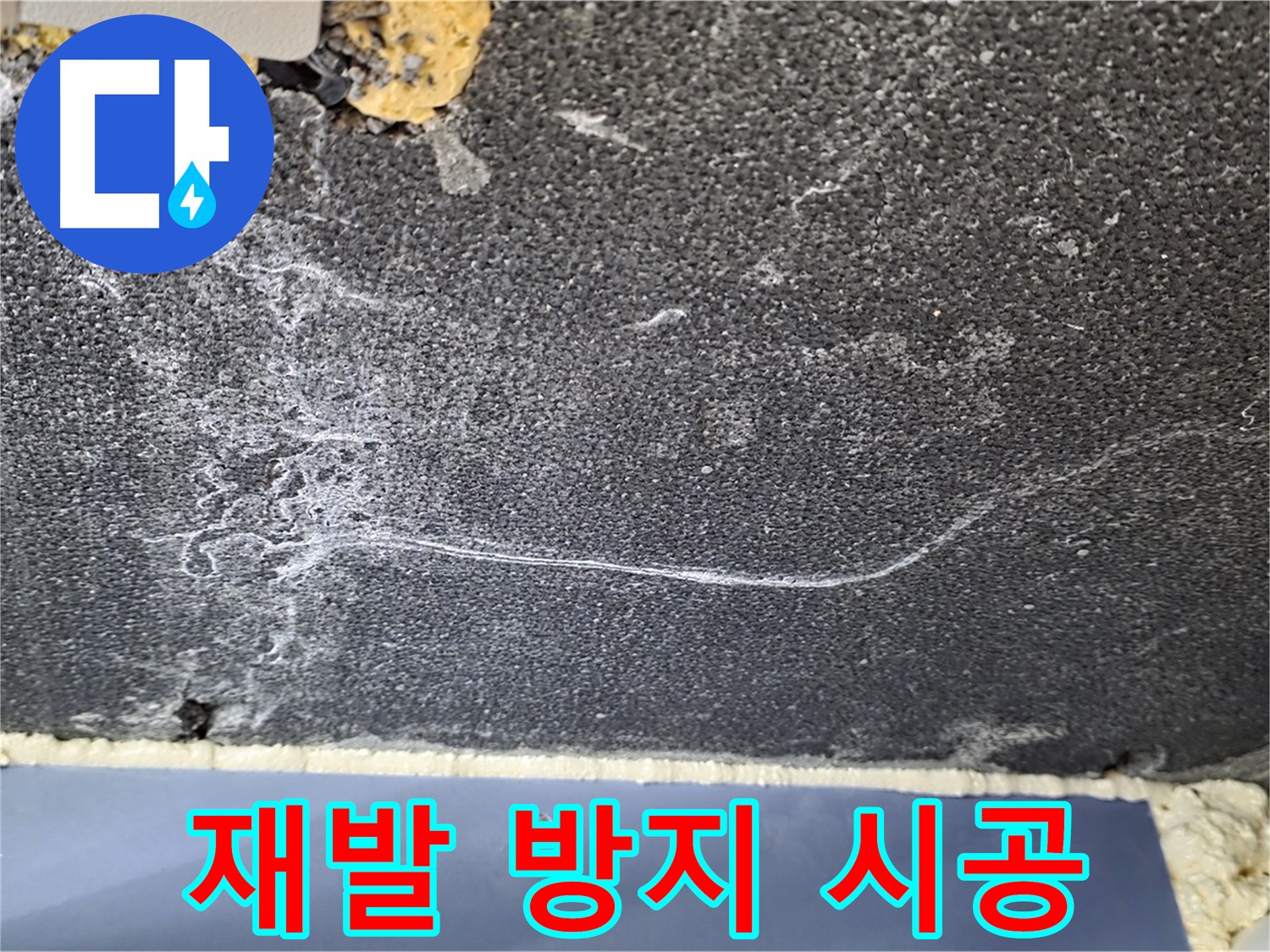파주 동패동 천장 누수 해결 - 곰팡이 재발 방지 시공 완료