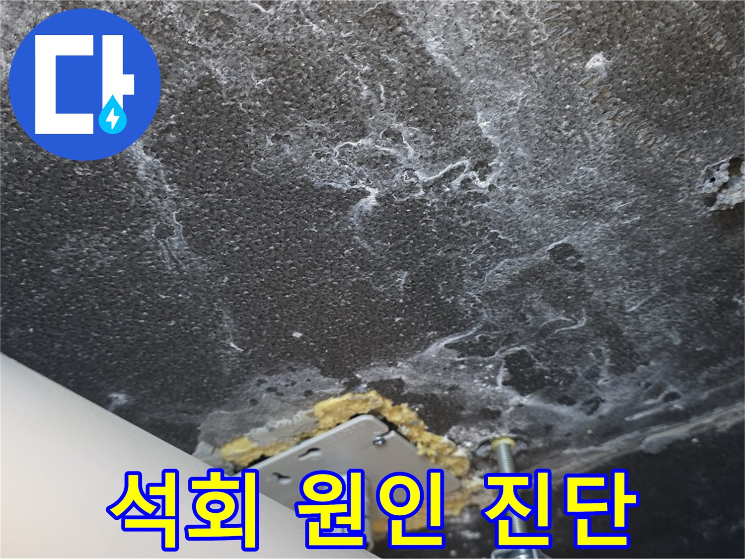 파주시 동패동 누수 - 천장 석회 누수 원인 정밀 진단 과정