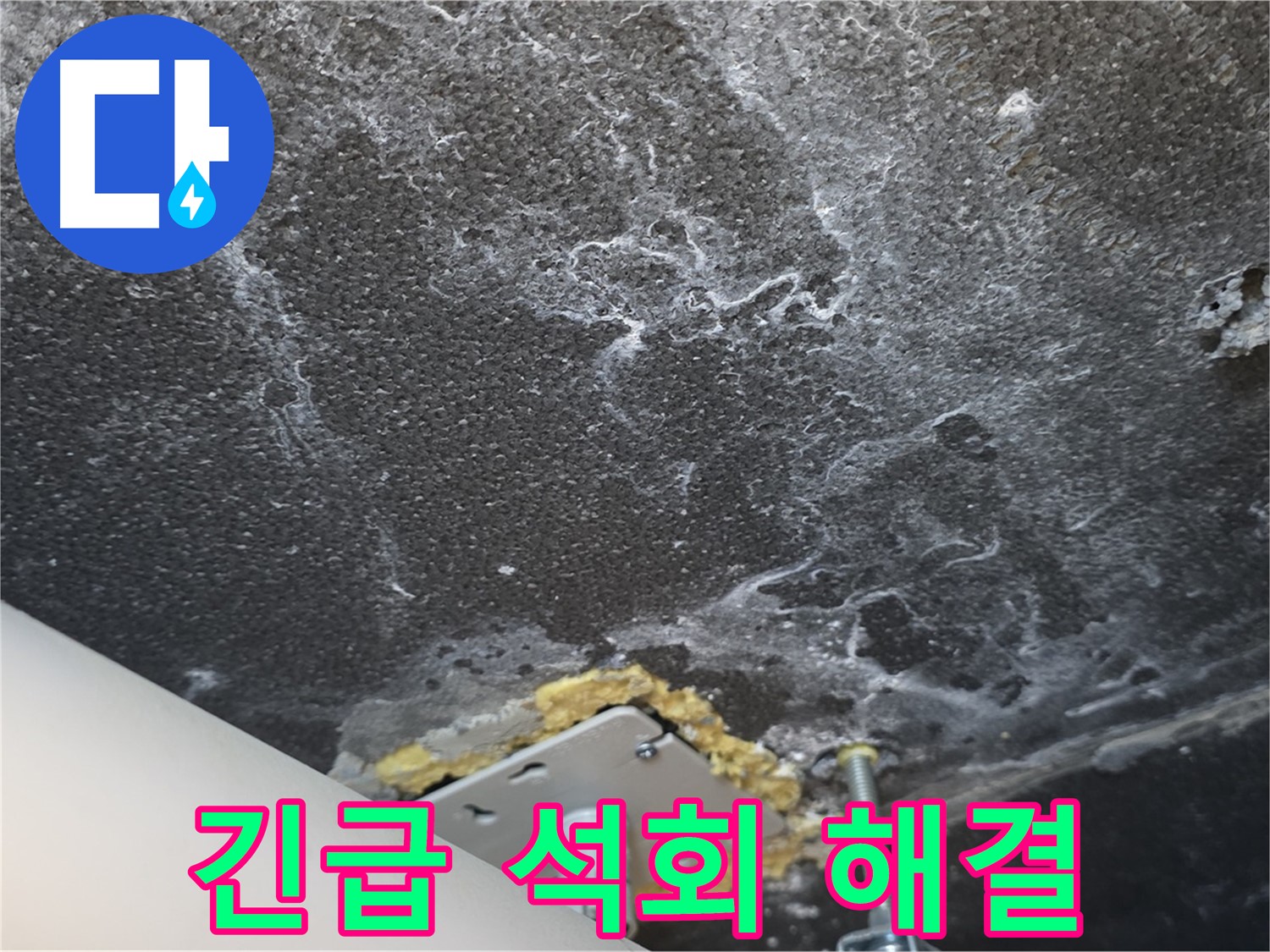 파주시 동패동 아파트 누수 - 긴급 석회 누수 완벽 해결 완료