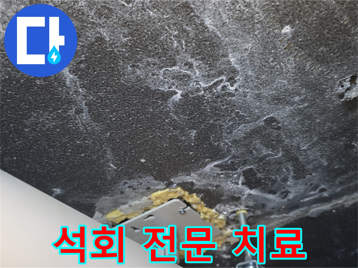 파주시 동패동 아파트 누수 - 석회 전문 치료 및 재발 방지 시공
