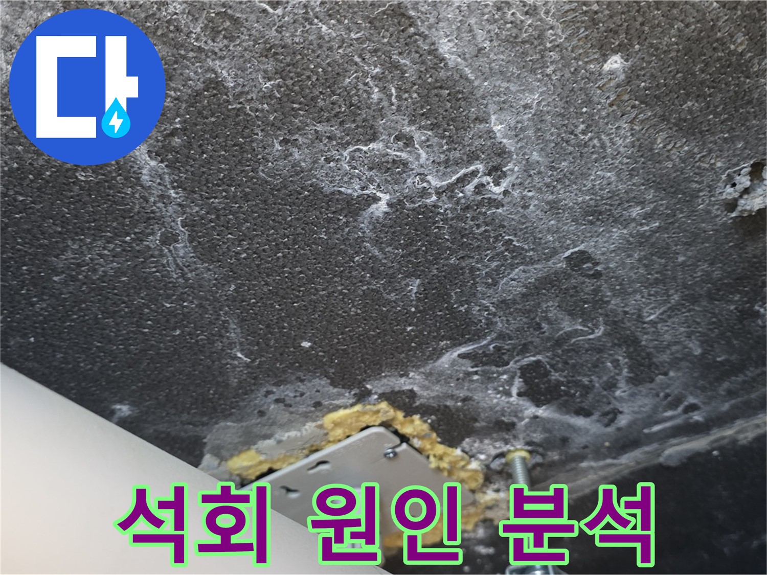 파주시 동패동 아파트 누수 - 천장 석회 누수 원인 심층 분석