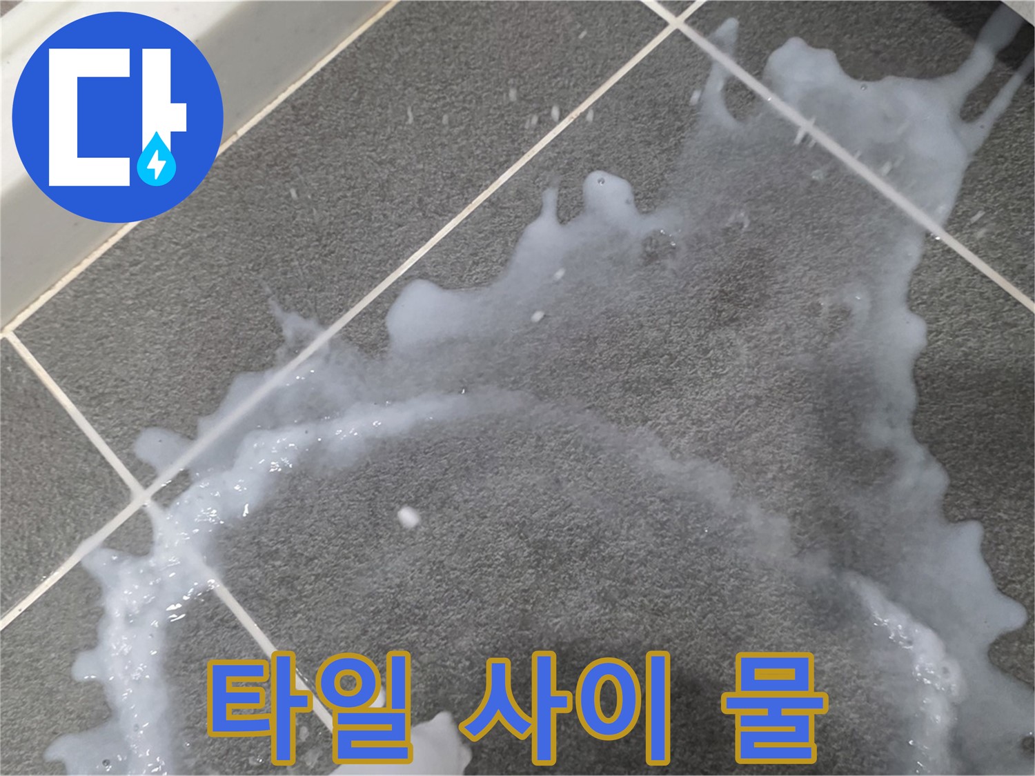 파주시 동패동 운정어반프라임 1201동 아파트 타일 사이 물 - 누수탐지 전문 업체가 누수 원인을 찾아 해결합니다.