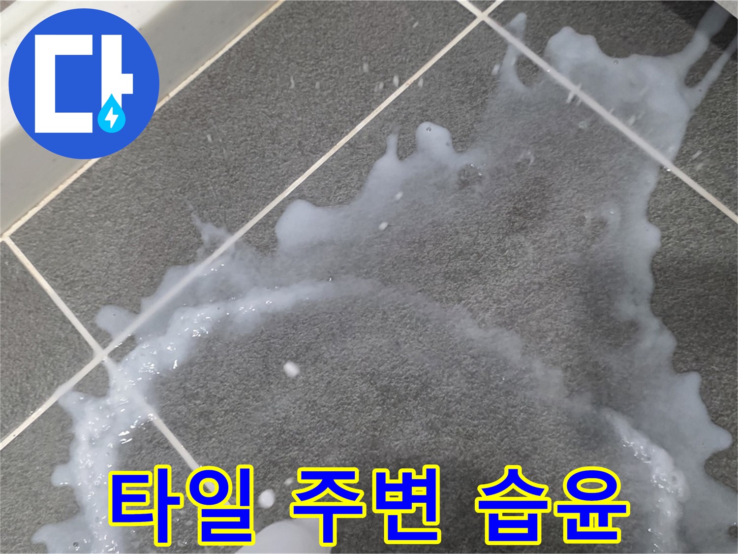 파주시 동패동 운정어반프라임 1201동 아파트 타일 주변 습윤 - 초기 누수 해결, 책임감 있는 시공으로 마무리합니다.