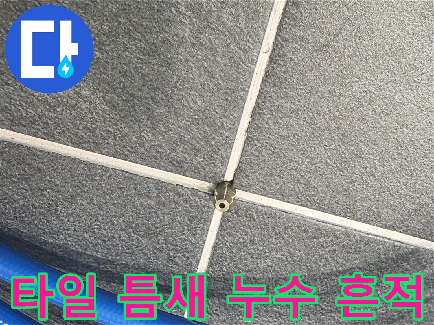 파주시 동패동 운정어반프라임 아파트 누수 - 타일 틈새에 나타난 누수 흔적을 발견했습니다.